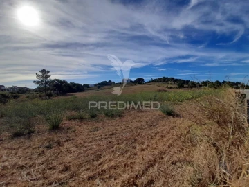 Terreno para Venda em Romeira e Várzea