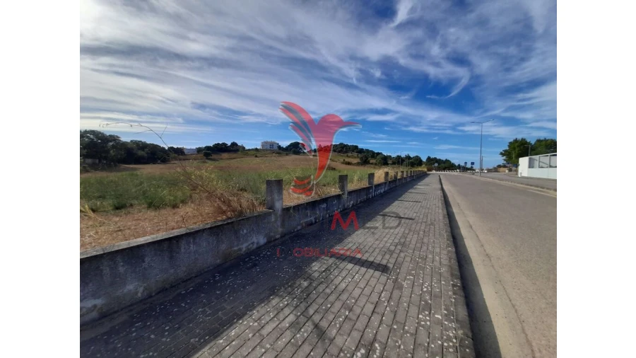 Terreno para Venda em Romeira e Várzea Foto 10