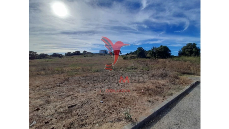 Terreno para Venda em Romeira e Várzea Foto 1