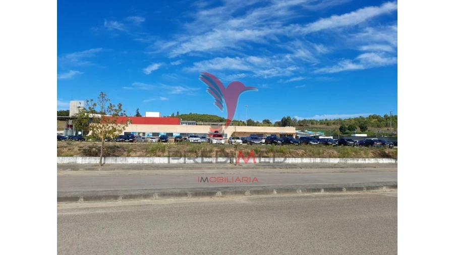 Terreno para Venda em Romeira e Várzea Foto 6