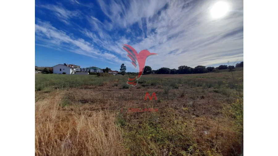 Terreno para Venda em Romeira e Várzea Foto 3