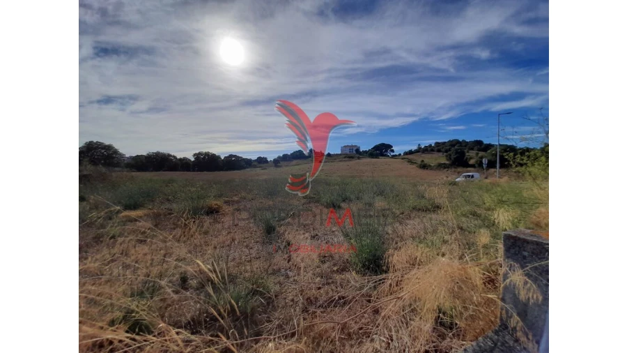 Terreno para Venda em Romeira e Várzea Foto 4