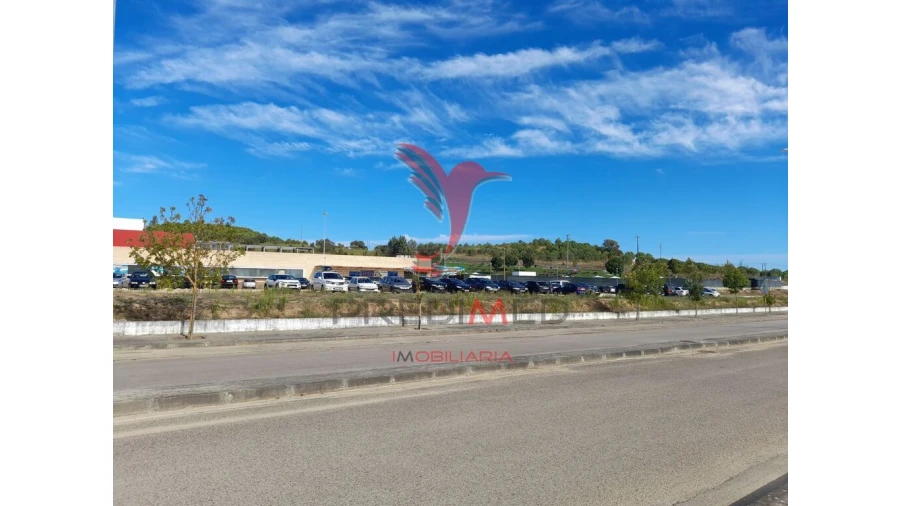 Terreno para Venda em Romeira e Várzea Foto 5