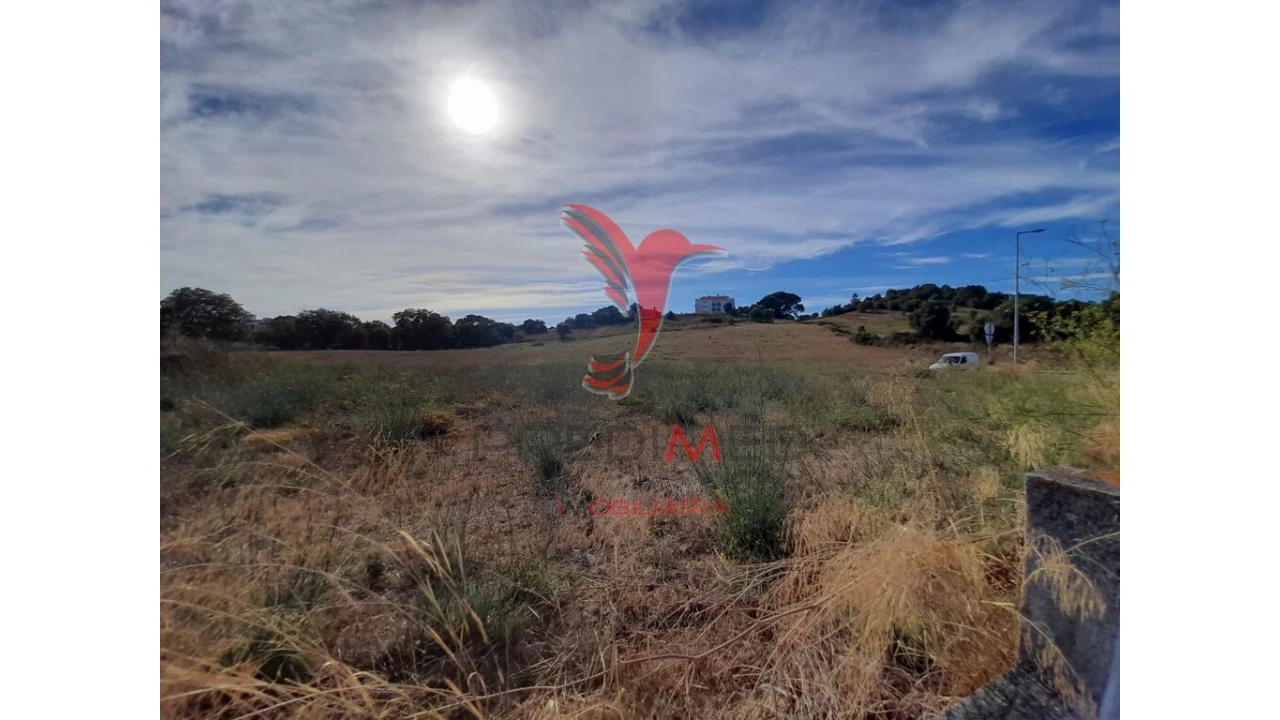 Terreno para Venda em Romeira e Várzea Foto 4