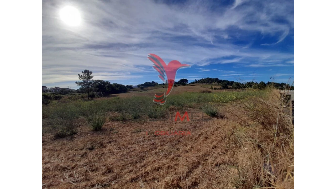 Terreno para Venda em Romeira e Várzea Foto 8