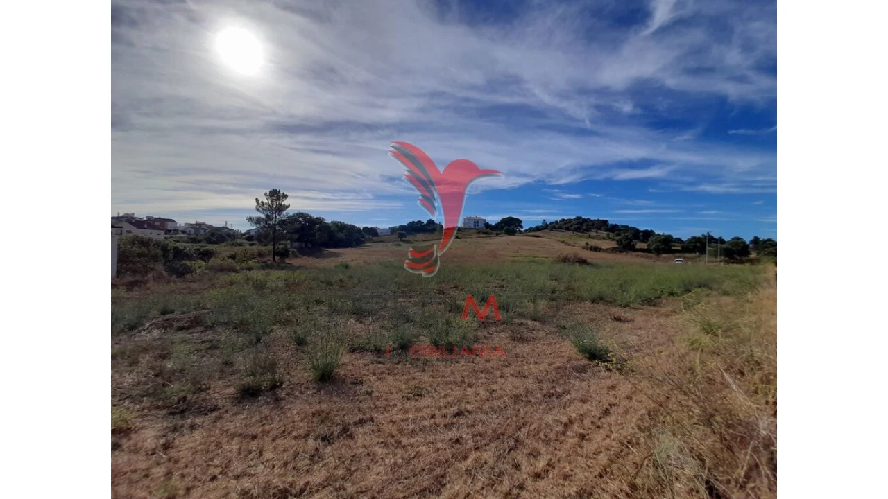Terreno para Venda em Romeira e Várzea Foto 7