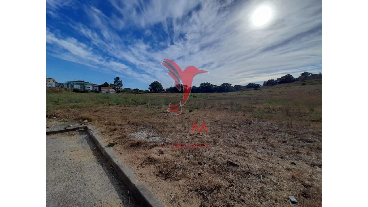 Terreno para Venda em Romeira e Várzea Foto 2