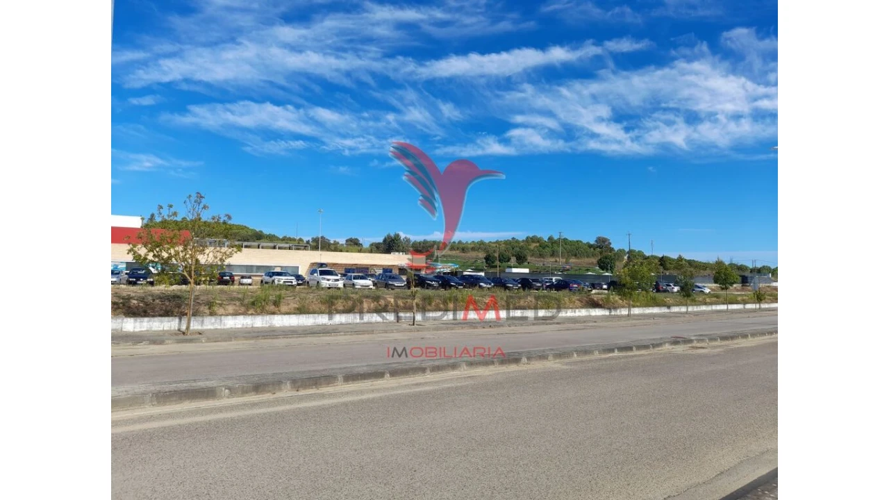 Terreno para Venda em Romeira e Várzea Foto 5