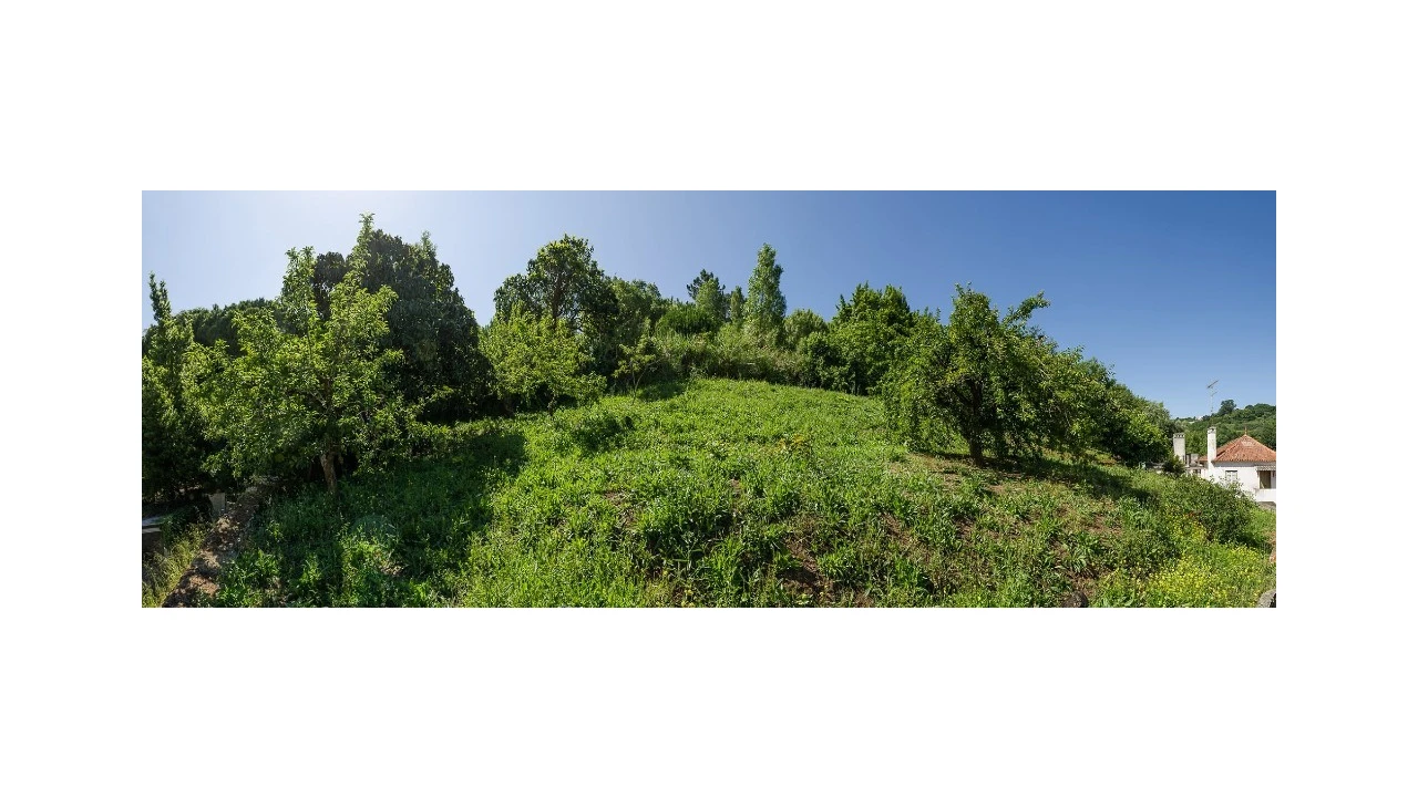 Terreno para Venda em Aljubarrota Foto 1