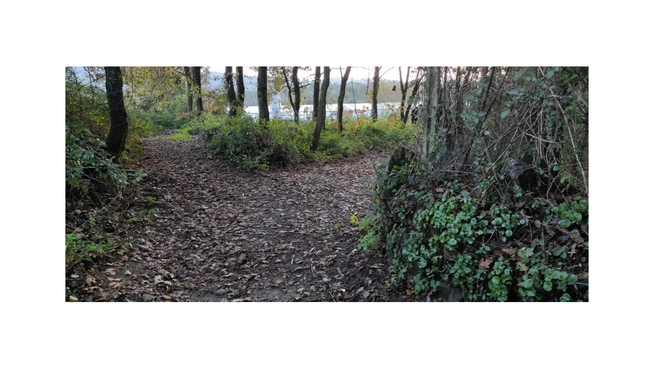 Terreno para Venda em Ferreiros, Prozelo e Besteiros Foto 3