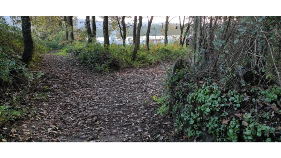 Terreno para Venda em Ferreiros, Prozelo e Besteiros Foto 3