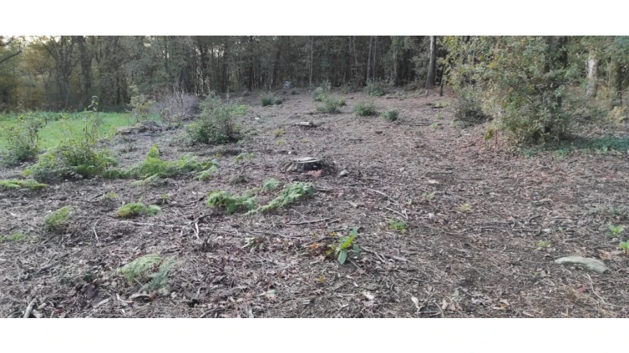 Terreno para Venda em Ferreiros, Prozelo e Besteiros