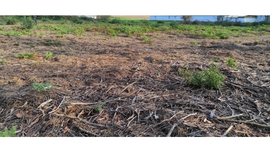 Terreno para Venda em Ferreiros, Prozelo e Besteiros Foto 8