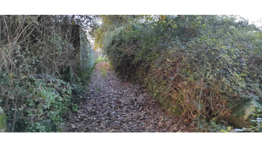 Terreno para Venda em Ferreiros, Prozelo e Besteiros Foto 4