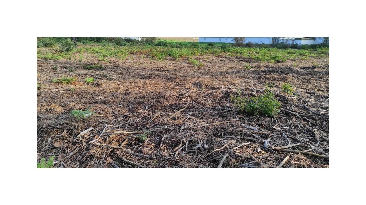 Terreno para Venda em Ferreiros, Prozelo e Besteiros Foto 8