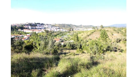 Terreno para Venda em Sé Nova, Santa Cruz, Almedina e São Bartolomeu
