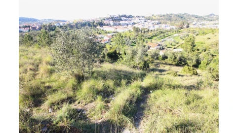 Terreno para Venda em Sé Nova, Santa Cruz, Almedina e São Bartolomeu