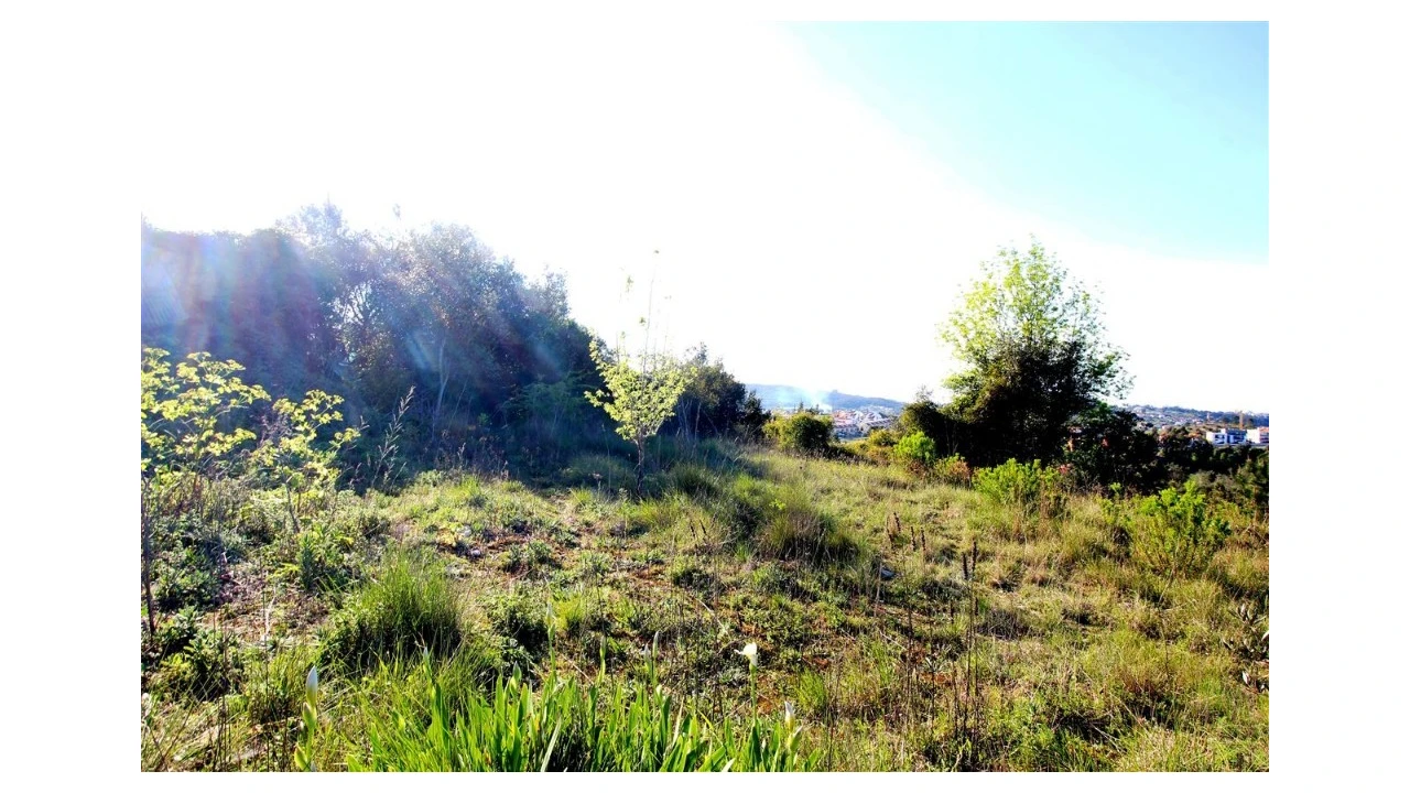 Terreno para Venda em Sé Nova, Santa Cruz, Almedina e São Bartolomeu Foto 1