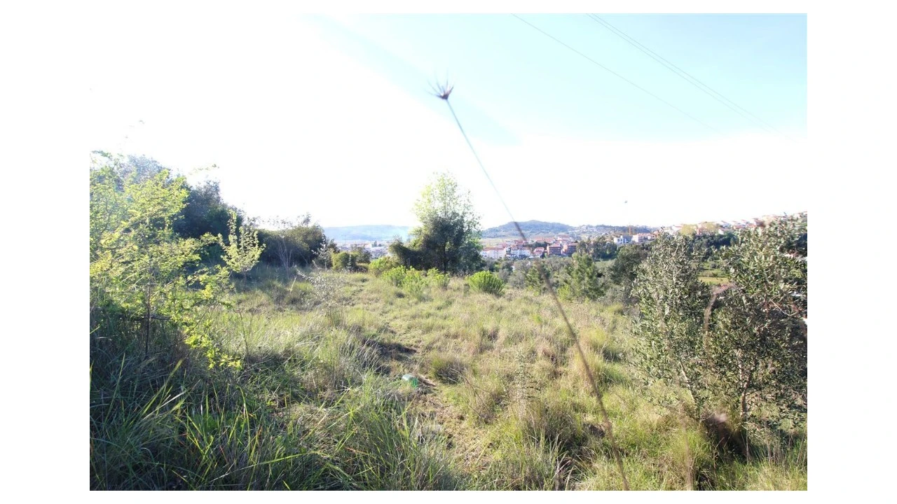 Terreno para Venda em Sé Nova, Santa Cruz, Almedina e São Bartolomeu Foto 4