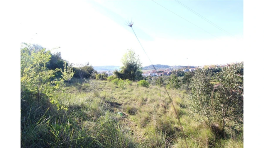 Terreno para Venda em Sé Nova, Santa Cruz, Almedina e São Bartolomeu Foto 4