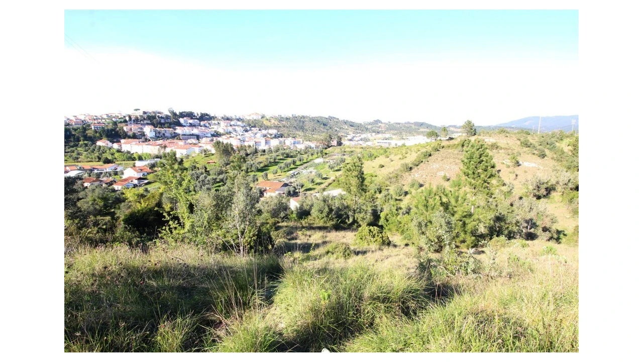 Terreno para Venda em Sé Nova, Santa Cruz, Almedina e São Bartolomeu Foto 2