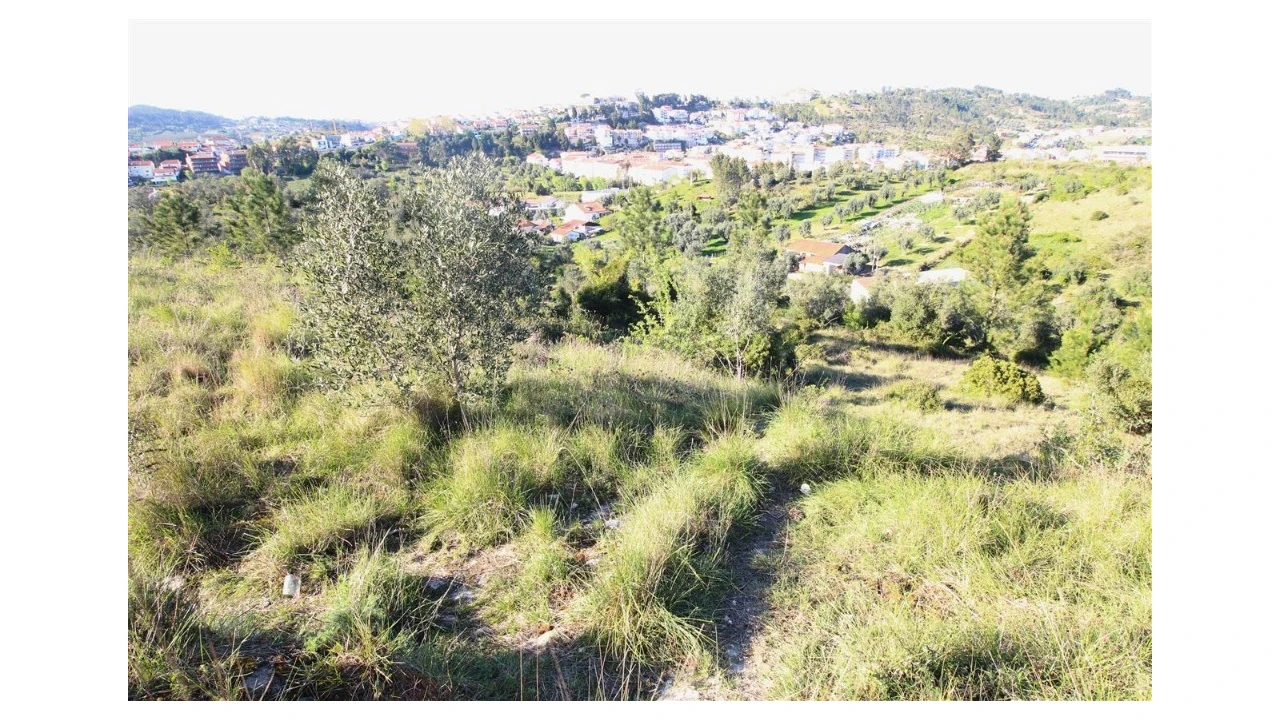 Terreno para Venda em Sé Nova, Santa Cruz, Almedina e São Bartolomeu Foto 3