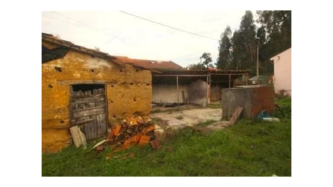Terreno para Venda em São Martinho de Árvore e Lamarosa