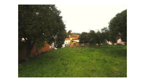 Terreno para Venda em São Martinho de Árvore e Lamarosa