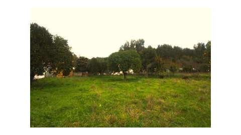 Terreno para Venda em São Martinho de Árvore e Lamarosa