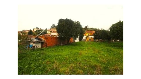 Terreno para Venda em São Martinho de Árvore e Lamarosa