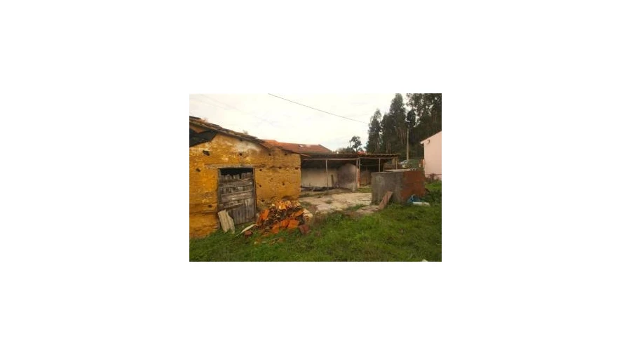 Terreno para Venda em São Martinho de Árvore e Lamarosa Foto 4