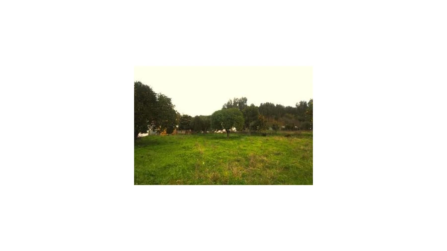 Terreno para Venda em São Martinho de Árvore e Lamarosa Foto 2