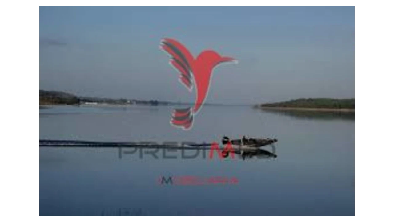 Terreno para Venda em Montargil Foto 6