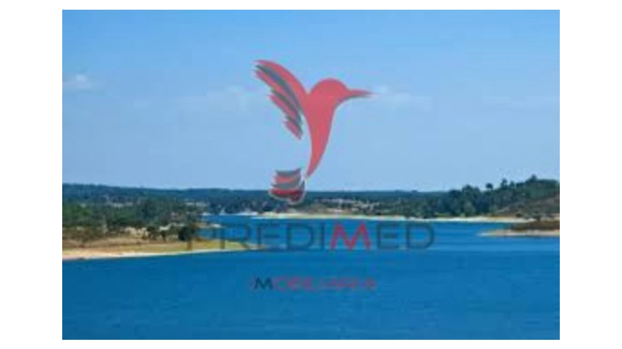 Terreno para Venda em Montargil Foto 9