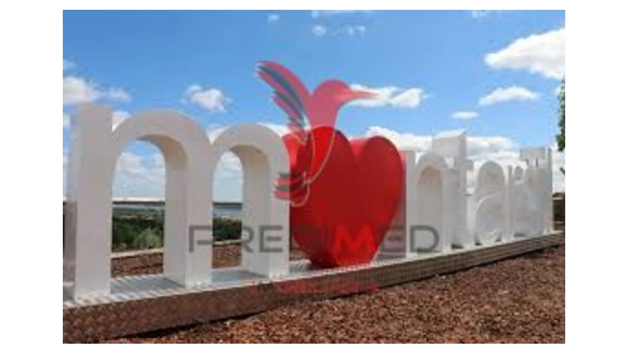 Terreno para Venda em Montargil Foto 8