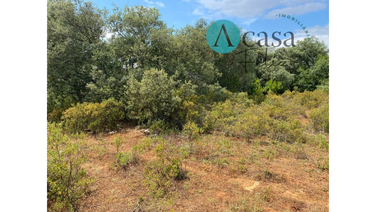 Terreno para Venda em Nossa Senhora do Pranto Foto 4