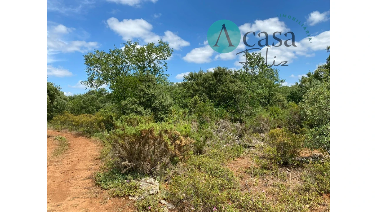 Terreno para Venda em Nossa Senhora do Pranto Foto 2