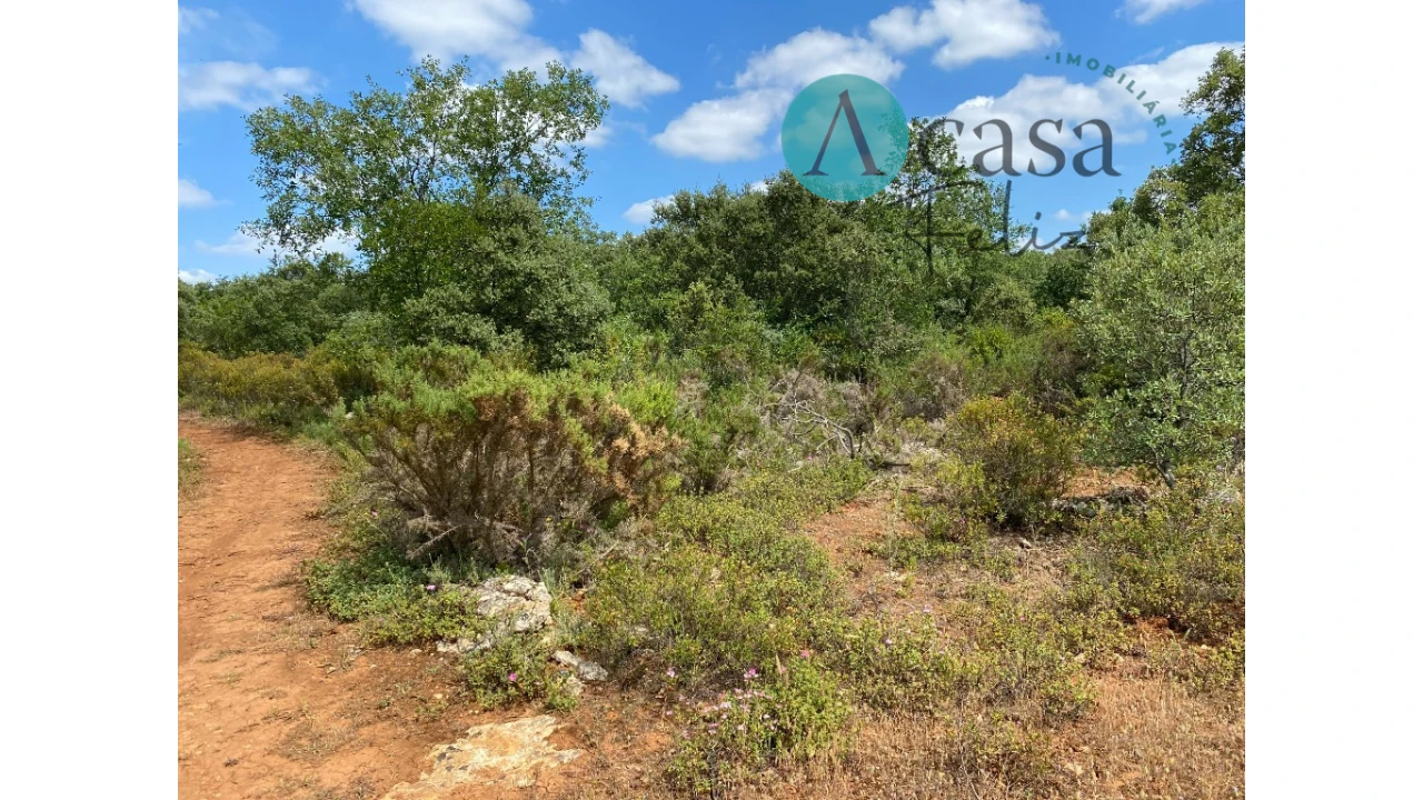 Terreno para Venda em Nossa Senhora do Pranto Foto 1