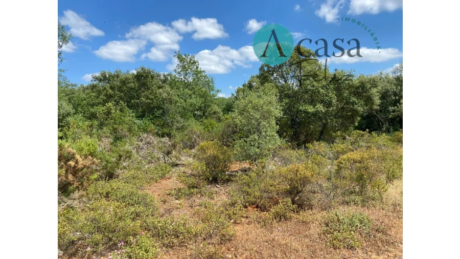 Terreno para Venda em Nossa Senhora do Pranto Foto 5