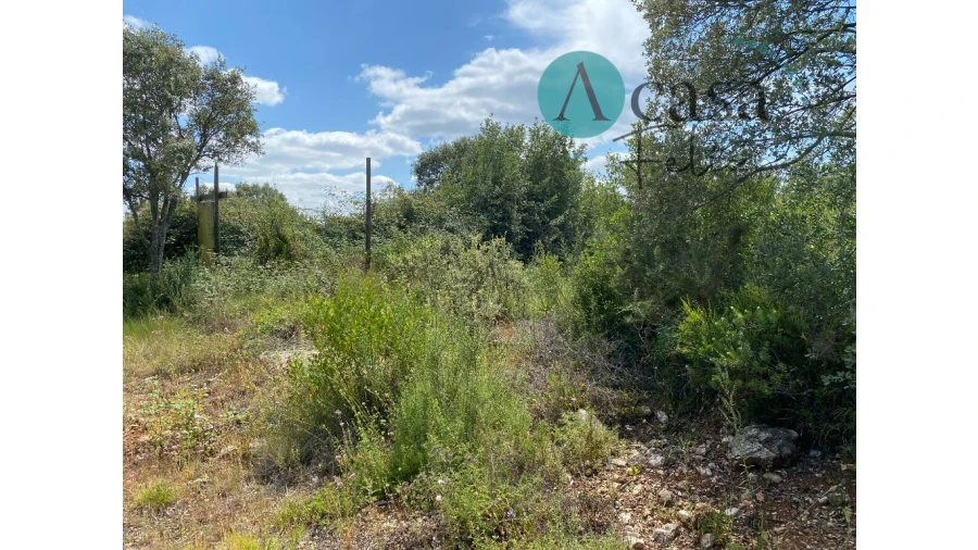 Terreno para Venda em Nossa Senhora do Pranto Foto 3