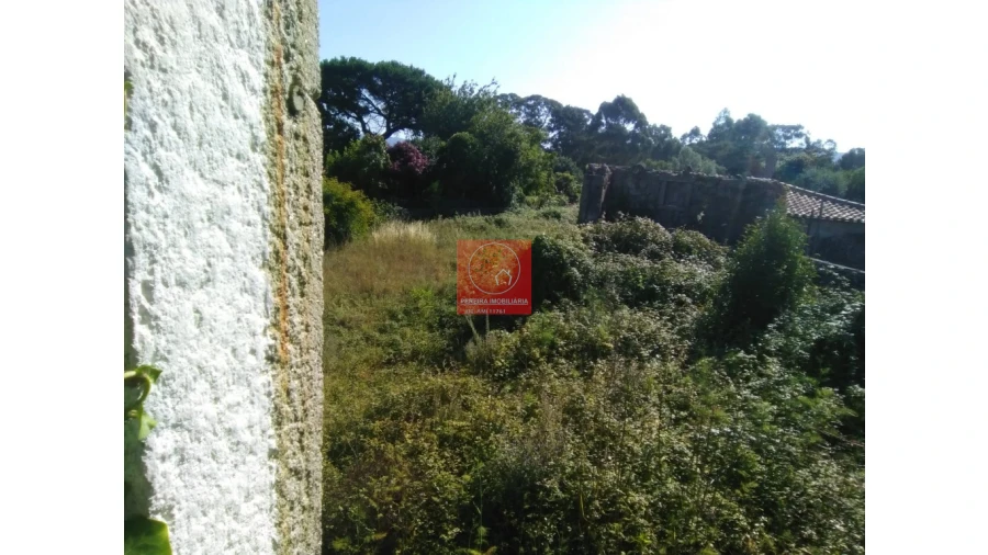 Moradia T3 para Venda em Forjães Foto 1