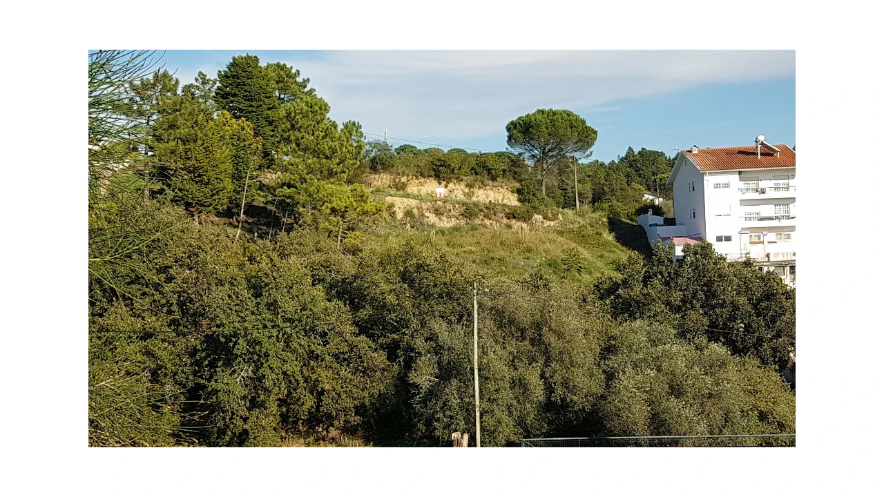 Terreno para Venda em Assafarge e Antanhol Foto 5