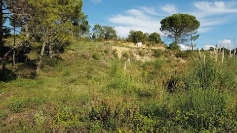 Terreno para Venda em Assafarge e Antanhol