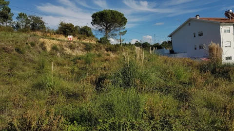 Terreno para Venda em Assafarge e Antanhol