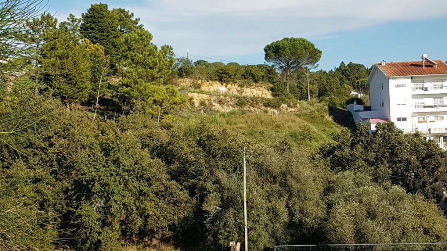 Terreno para Venda em Assafarge e Antanhol Foto 5