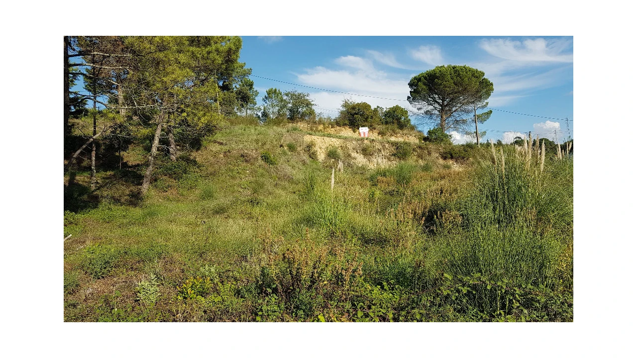 Terreno para Venda em Assafarge e Antanhol Foto 3