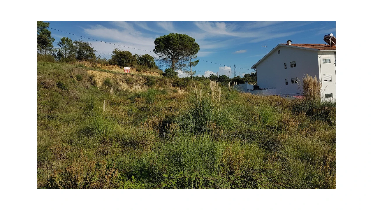 Terreno para Venda em Assafarge e Antanhol Foto 2