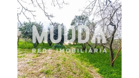 Terreno para Venda em Beduído e Veiros