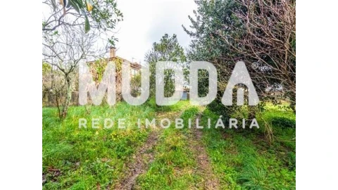 Terreno para Venda em Beduído e Veiros