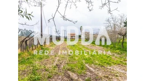Terreno para Venda em Beduído e Veiros